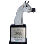 افتخارات و جوایز فهار